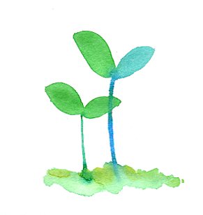 職人不足の現状とその影響 ― 人がいなくなるのではない。受け継ぐ人がいなくなることが、本当の危機だ。―